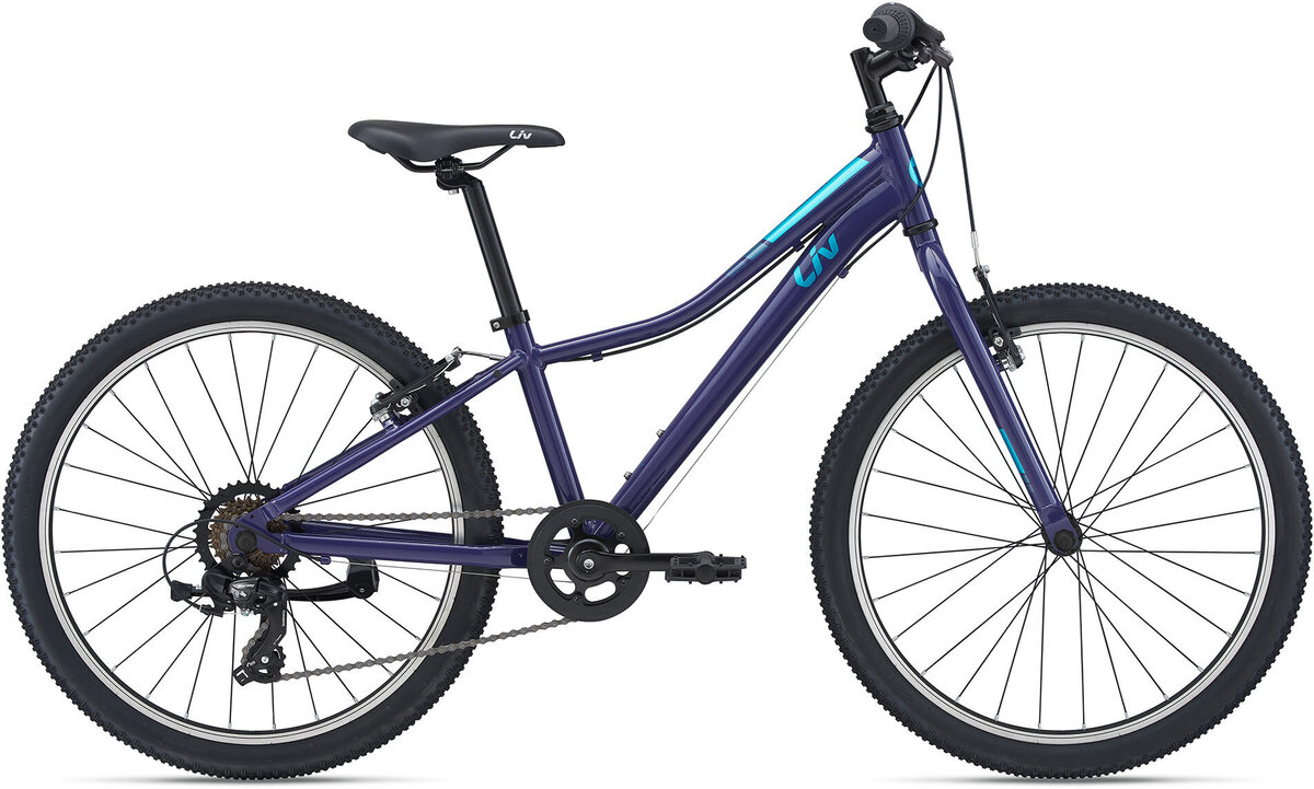 Велосипед 24" Liv ENCHANT 24 LITE 2022, фіолетовий фото 